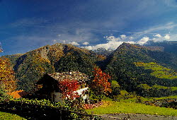 Herbstfrbung auf Matatz (oberhalb ST. Martin) im Hintergrund der Plattner 2345 m