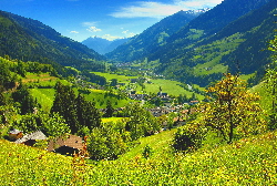 Wiese oberhalb St. Leonhard / das Tal wird grn