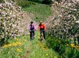 Radfahren im Tal